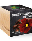 EcoCube: Nachhaltiger Holzwürfel Mit Samen Für Ein Individuelles Pflanzerlebnis Zuhause Lothi Schokoladenblume