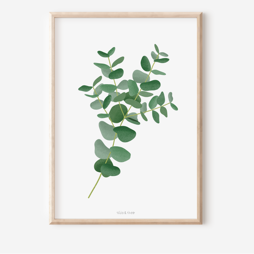 Poster Eukalyptus Zweig Botanischer Print Zweig - Wanddeko Eukalyptus  Tilda and Theo   